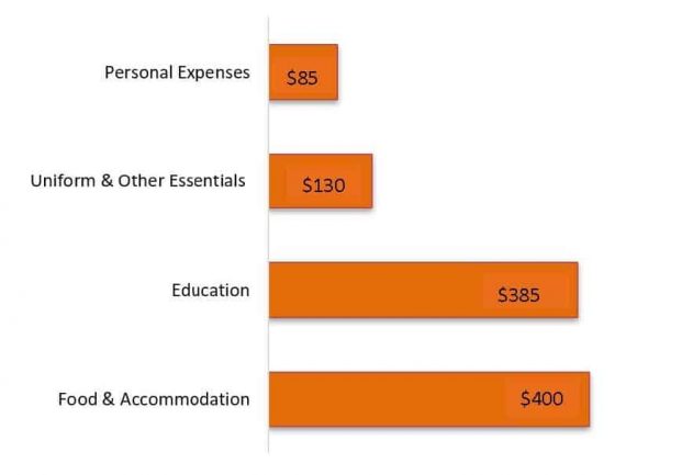 Orange chart